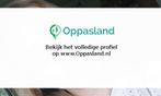 Ik ben Jeanet, 22 jaar oud en ik zoek oppaswerk in IJlst.