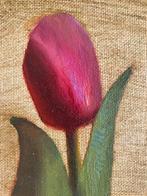 Cristina Goia - Purple-Red Tulip, Antiek en Kunst