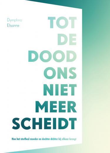 Tot de dood ons niet meer scheidt 9789463892292, Boeken, Romans, Gelezen, Verzenden