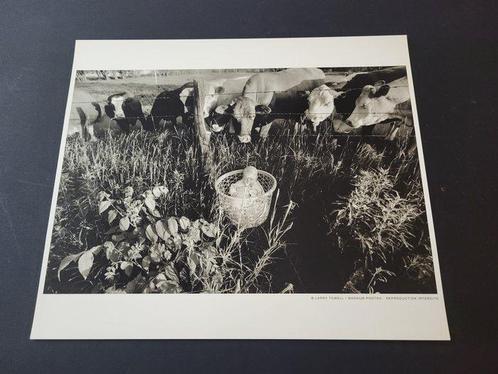 Larry Towell (1953) - Canada, 1994, Antiek en Kunst, Kunst | Schilderijen | Modern