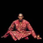 cd - Raphael Saadiq - SAADIQ RAPHAEL-INSTANT VINTAGE, Verzenden, Zo goed als nieuw