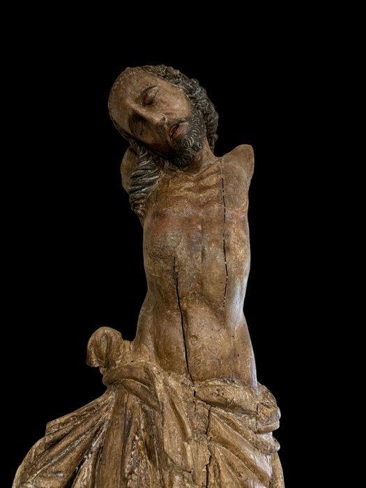 sculptuur, Christus / 17e eeuw - 75 cm - Hout, Antiek en Kunst, Antiek | Overige Antiek