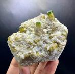 Groene Pet Watermeloen Toermalijn Kristallen met Kwarts op, Verzamelen, Mineralen en Fossielen