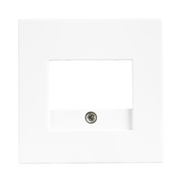 ION | Centraalplaat USB Lader  | V1/J1 Alpin Wit | beschikbaar voor biedingen