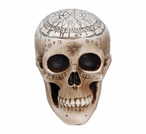 Halloween Tafeldecoratie Schedel 20cm, Hobby en Vrije tijd, Feestartikelen, Nieuw, Verzenden