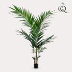 Kunstplant - Kentia -Kentiapalm - 150cm, Verzenden, Nieuw