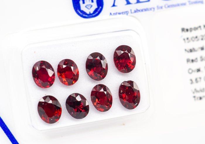 Zonder Minimumprijs - 8 pcs Spinel - 3.67 ct - Antwerp, Sieraden, Tassen en Uiterlijk, Edelstenen