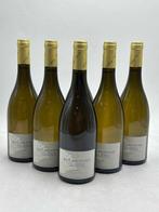 2020 Philippe Tupinier Bourgogne Chardonnay Vieilles Vignes, Verzamelen, Nieuw