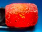 102.5 ct - Onbehandelde robijn - Ruw- 20.5 g, Verzamelen, Mineralen en Fossielen