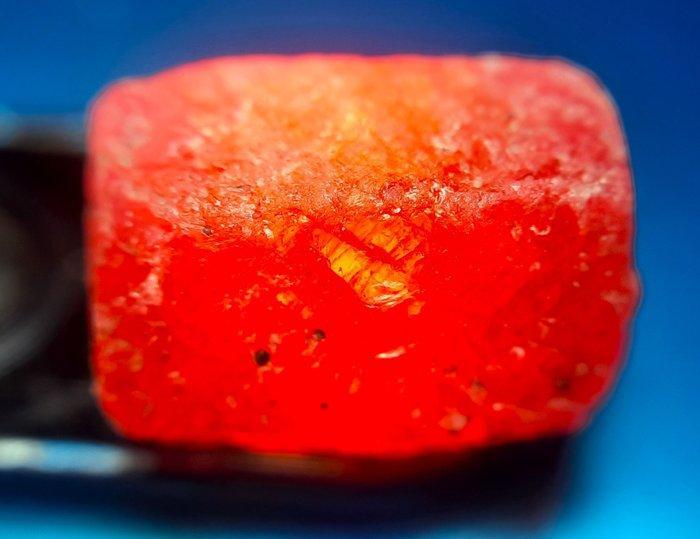 102.5 ct - Onbehandelde robijn - Ruw- 20.5 g, Verzamelen, Mineralen en Fossielen