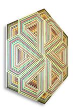 Danilo Nedi - Focused Skateboard Woodworks - Interpretzel