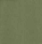 Cartenza stof - Lentegroen - Outdoorstof - Per meter, Overige materialen, 120 cm of meer, Ophalen of Verzenden, Groen