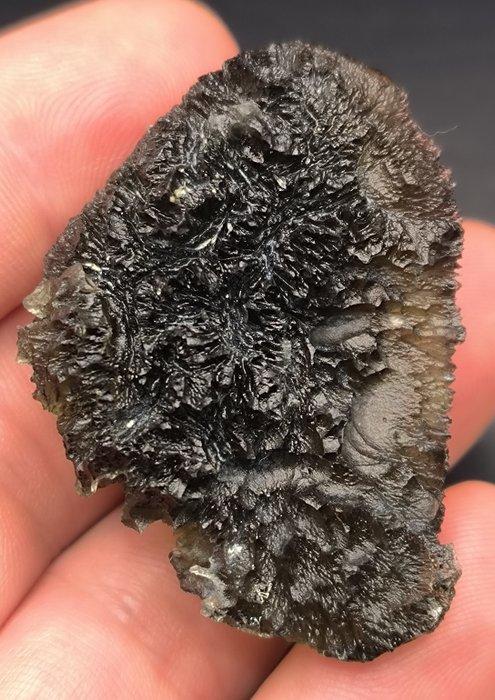 Moldavite XL - uit Chrášany, Zuid-Bohemen - Hoogte: 49 mm -, Verzamelen, Mineralen en Fossielen