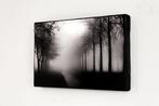 Rouzbeh Tahmassian - In the mist - No reserve price, Antiek en Kunst