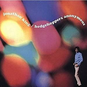 cd - Jonathan King - Jonathan King / Hedgehoppers Anonymous, Cd's en Dvd's, Cd's | Overige Cd's, Zo goed als nieuw, Verzenden