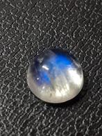 Natural round cabuchon blue moonstone 2.25 ct, Nieuw