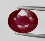 Rood Robijn - 3.14 ct - Bellerophon Gemlab - No Heat -, Nieuw