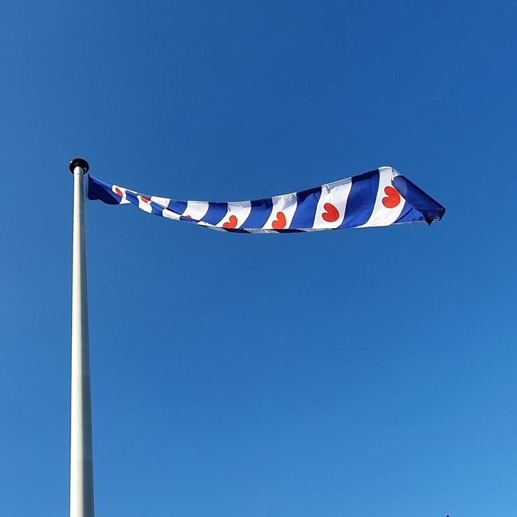 NR 405: Wimpel Friesland 100% stil-200cm (zonder stokje (met, Diversen, Vlaggen en Wimpels, Nieuw