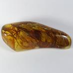 Baltic Ambers met grote plantaardige resten - Fossiele, Verzamelen, Mineralen en Fossielen