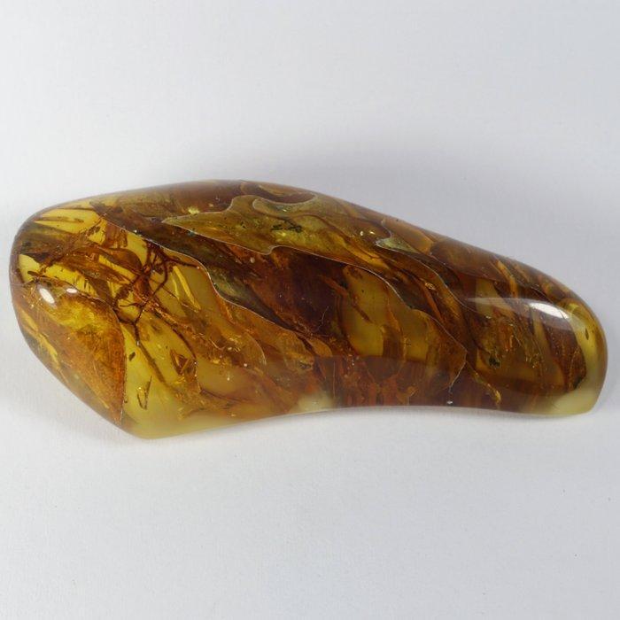 Baltic Ambers met grote plantaardige resten - Fossiele, Verzamelen, Mineralen en Fossielen