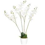 Kunstplant, Kunstorchidee, Inclusief Plantenbak, 16,5 Cm X 1, Huis en Inrichting, Woonaccessoires | Kunstplanten en Kunstbloemen