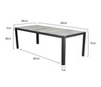 New Delhi dining tuintafel 220x100xH74 cm antraciet, Tuin en Terras, Tuintafels, Ophalen of Verzenden, Nieuw