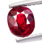 Zonder Minimumprijs Robijn - 1.22 ct - Bellerophon Gemlab -, Nieuw