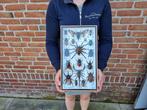 Lijst- met exotische echte insecten  - Glas, Hout, Nieuw