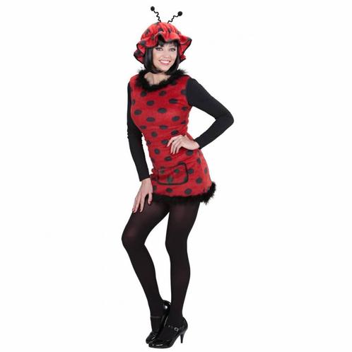 Lieveheersbeestje kostuum dames pluche, Kleding | Dames, Carnavalskleding en Feestkleding, Nieuw, Ophalen of Verzenden