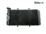 Radiateur BMW F 650 1993-1996 (F650 94), Motoren, Onderdelen | BMW, Verzenden, Gebruikt