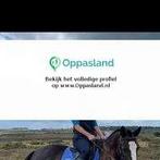 Catherine zoekt een oppas in Yde voor 2 kinderen., Vacatures, Vacatures | Overige Vacatures