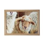 schootkussen schaapjes beige 43cm, Verzenden, Nieuw