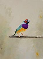 Matthieu van Riel - Gouldian Finch, Antiek en Kunst
