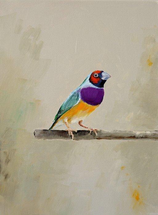 Matthieu van Riel - Gouldian Finch, Antiek en Kunst, Kunst | Schilderijen | Modern