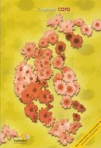 Zorgboek COPD 9789086480548, Boeken, Verzenden, Zo goed als nieuw