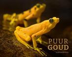 Puur goud 9789082703825 Guido Sterkendries, Verzenden, Gelezen, Guido Sterkendries