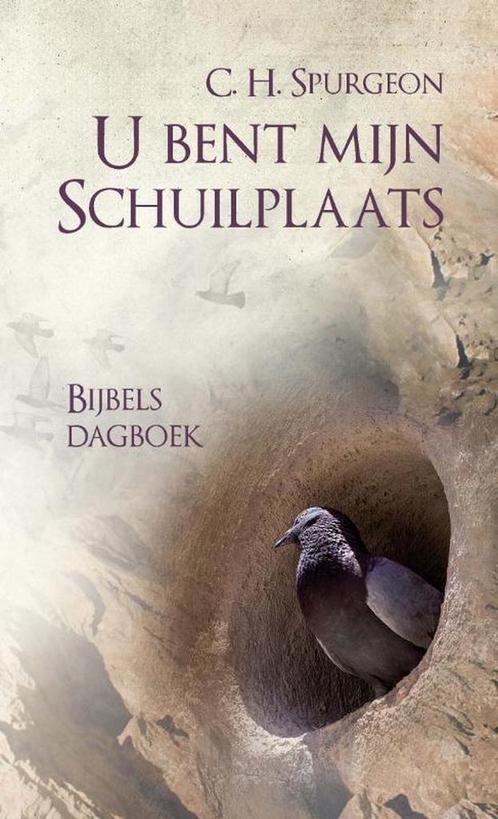 U bent mijn schuilplaats 9789462780231, Boeken, Godsdienst en Theologie, Zo goed als nieuw, Verzenden