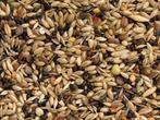 Wildzangzaad - Wildzangzaad 2 kilo - Vogelzaad    -, Verzenden, Nieuw