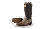 DWRS Cowboy laarzen in maat 36 Bruin | 10% extra korting, Kleding | Dames, Schoenen, DWRS, Bruin, Verzenden, Zo goed als nieuw