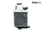 Radiateur Honda SH 125 ANC i Mode 2017-2019 JF71A, Verzenden, Gebruikt