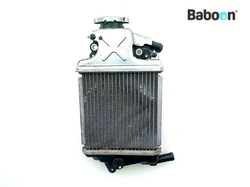 Radiateur Honda SH 125 ANC i Mode 2017-2019 JF71A, Motoren, Onderdelen | Honda, Gebruikt, Verzenden