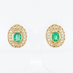 Oorbellen - 14 karaat Geel goud - 2.43ct. tw. Smaragd -, Sieraden, Tassen en Uiterlijk, Oorbellen, Nieuw
