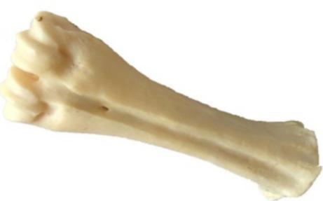 Calcium Natuurbeen, Dieren en Toebehoren, Dierenvoeding