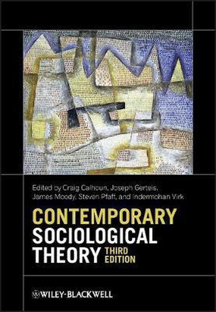 Contemporary Sociological Theory 3rd Ed 9780470655665, Boeken, Taal | Engels, Gelezen, Verzenden