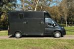 Peugeot Boxer Flex  Horsetruck, Verzenden, Gebruikt