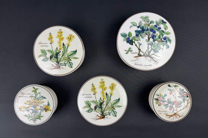 Villeroy & Boch - Kan (5) - Botanica - Porselein, Antiek en Kunst, Antiek | Glas en Kristal