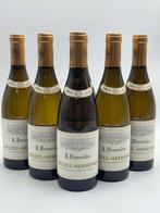 2021 J Denuzieres Crozes-Hermitage White - Rhône - 6 Flessen, Nieuw