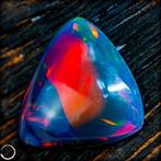Grote natuurlijke zwarte opaal cabochon 6,75 karaat- 1.35 g, Nieuw