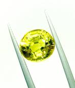 Granaat - 2.91 ct - Antwerp Laboratory for Gemstone Testing, Nieuw