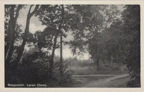 LAREN (GOOI) - Bosgezicht, Verzamelen, Ansichtkaarten | Nederland, Verzenden